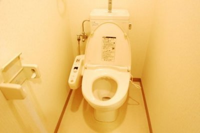 Toilet. Toilet