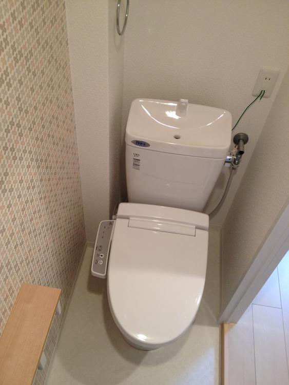 Toilet. Bidet with a toilet seat also is a new article