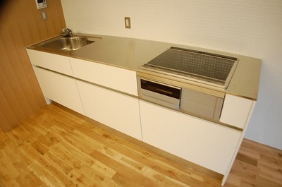 Kitchen. System kitchen