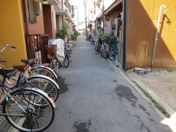 Local photos, including front road