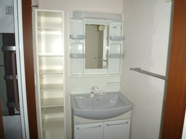 Washroom. Shampoo dresser With storage shelves