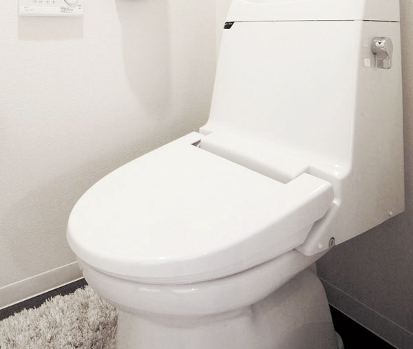 Toilet. The photograph is an image