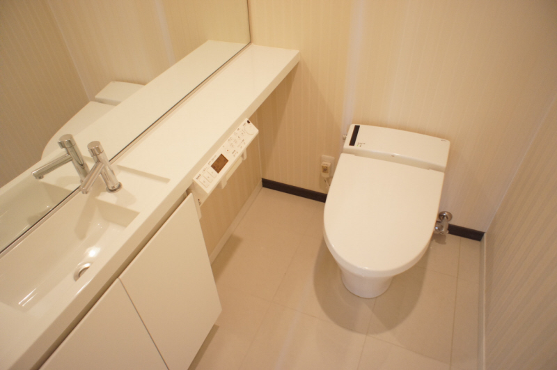 Toilet. Washlet toilet (with hand washing)