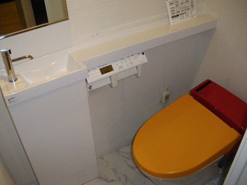 Living and room. Toilet (at the time of 2013 November shooting)