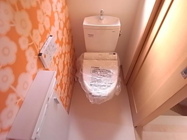 Toilet. Care at any time clean and easy (same specifications toilet)