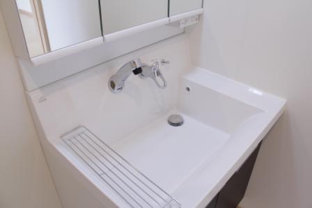 Wash basin, toilet. Bathroom vanity