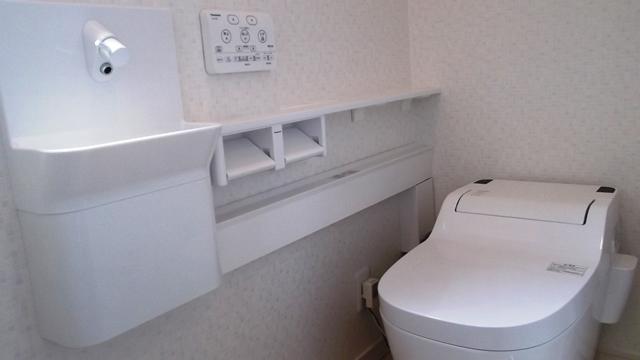 Toilet. Toilet construction cases