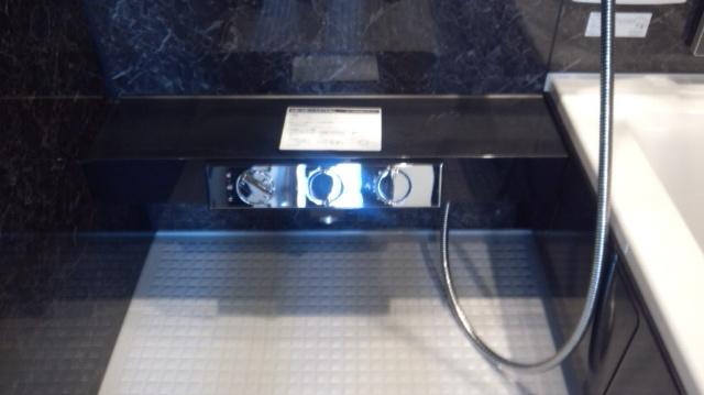 Same specifications photo (bathroom). Stylish spacious bathroom