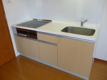 Kitchen. System kitchen