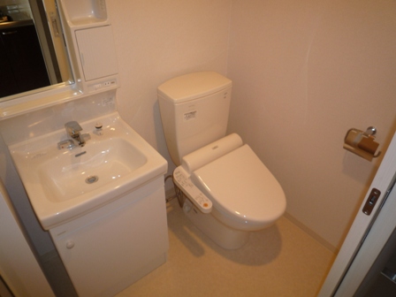 Toilet. Powder Room, With Washlet