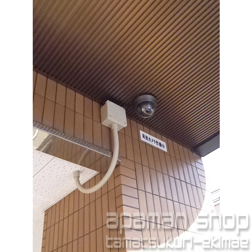 Security. surveillance camera