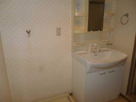 Washroom. Shampoo dresser ・ Indoor Laundry Storage