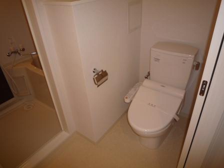 Toilet. Powder Room