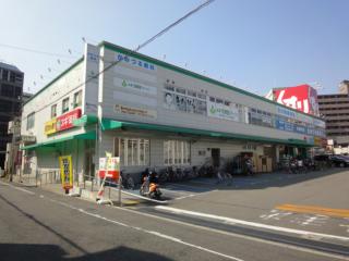 Dorakkusutoa. Cedar pharmacy Hayashiji shop 355m until (drugstore)