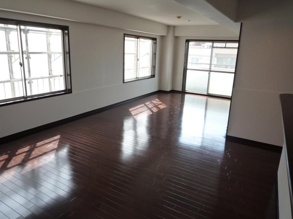 Living. Indoor (10 May 2013) Shooting