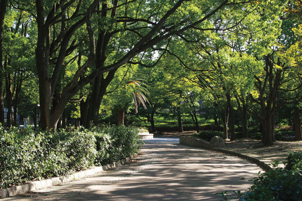 Surrounding environment. Nagai Park (walk 13 minutes ・ About 1020m)