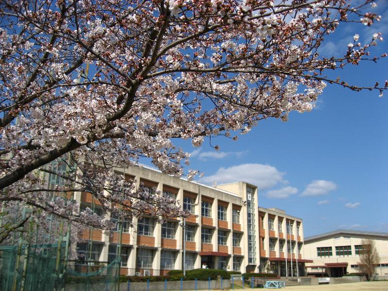 Primary school. Yada Nishi Elementary School until the (elementary school) 624m