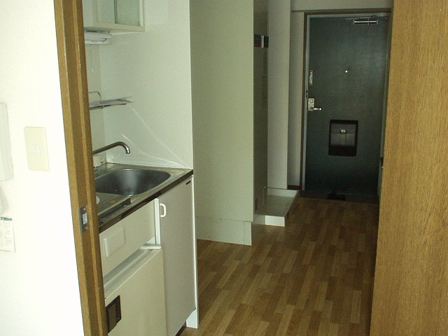 Kitchen. Spacious refrigerator also put a kitchen