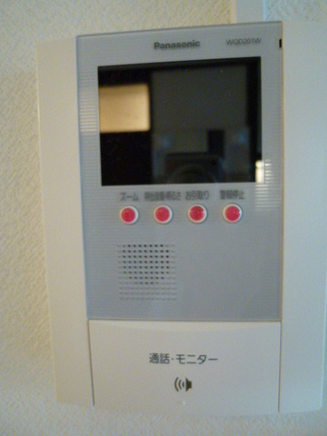 Security. Intercom with TV monitor