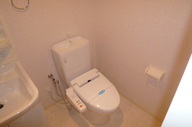 Toilet. There is a feeling of cleanliness. 