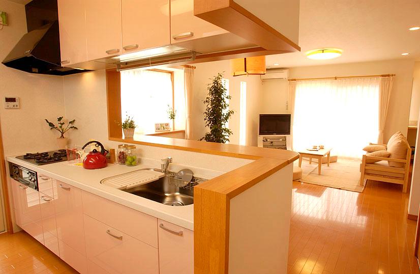 Other Equipment. Yearning of wife! It is a popular face-to-face kitchen (construction image)