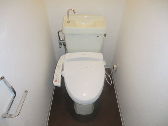 Toilet. Is a warm water washing toilet seat Installed. 