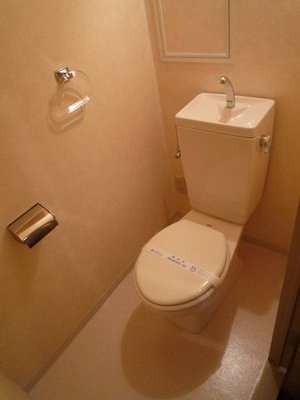Toilet. Clean WC