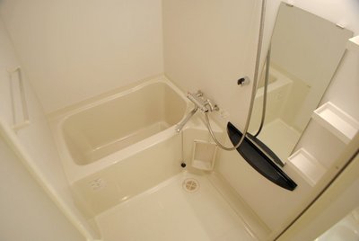 Bath. Functional bathroom