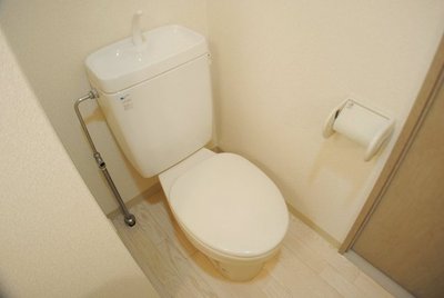 Toilet. Toilet also loose