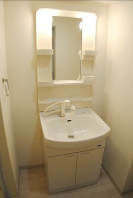 Washroom. Shampoo dresser