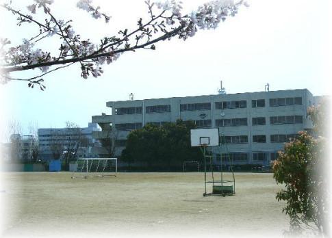 Junior high school. 1129m junior high school is also within walking distance to Suita Tatsudai three junior high school