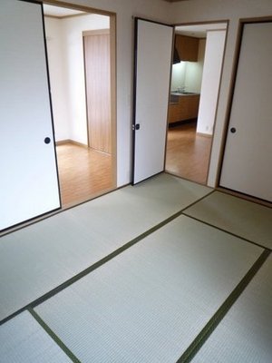 Living and room. The heart of the Japanese