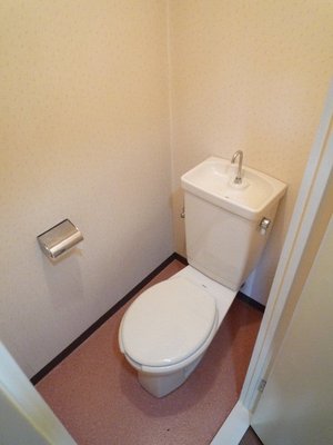 Toilet. WC