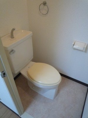 Toilet. WC