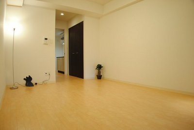 Living and room. Full-scale flooring