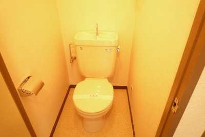 Toilet. bathroom, Toilet Separate. 