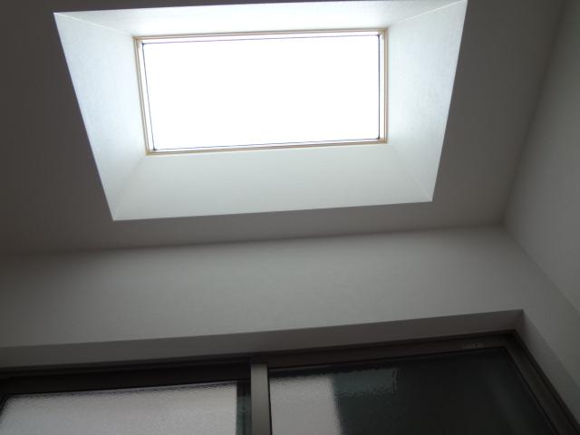 Other. C No. Location: top light