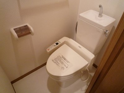 Toilet. WC is with washlet