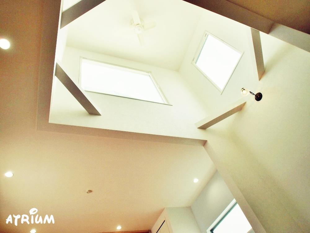 Other. Top light (skylight)