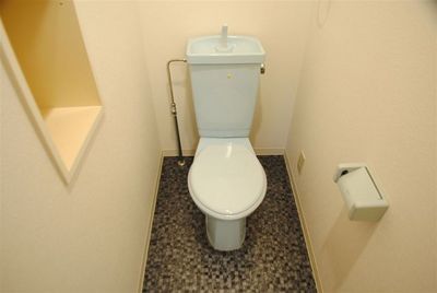 Toilet. Convenient shelf with a toilet