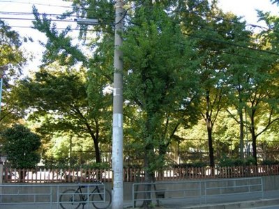 park. 50m to Awaji park (park)