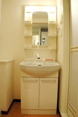 Washroom. Shampoo Dresser