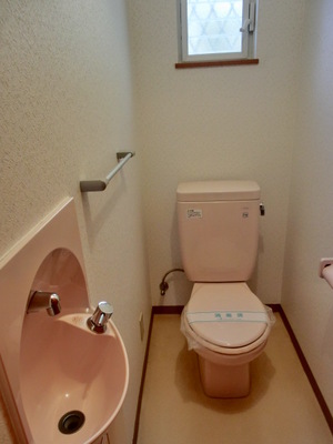 Toilet. Toilet