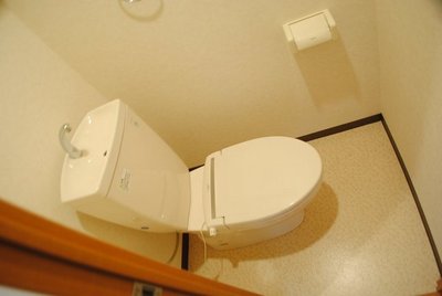 Toilet. A clean toilet. 