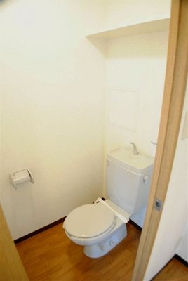 Toilet. There is a convenient shelf on the toilet