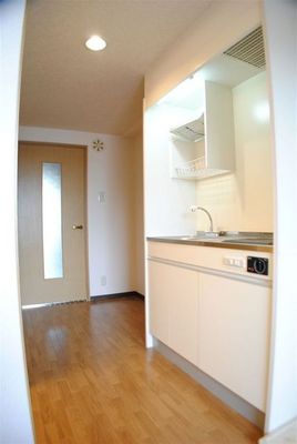 Kitchen. Convenient wide kitchen horizontal