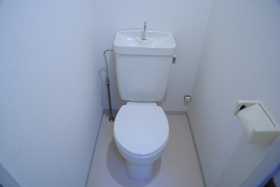 Toilet. Toilet