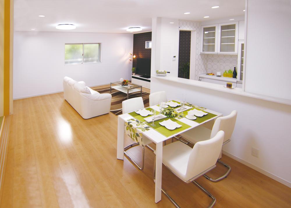 Living. Indoor (10 May 2013) Shooting