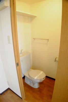 Toilet. There is also a small shelf on top of the toilet