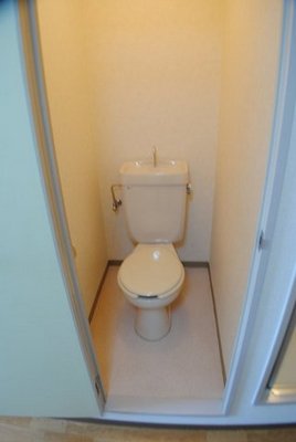 Toilet. Toilet